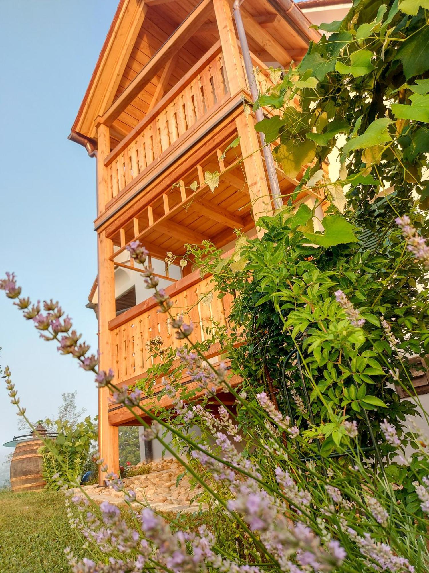 Sonnenhaus Grandl Daire Feldbach  Dış mekan fotoğraf
